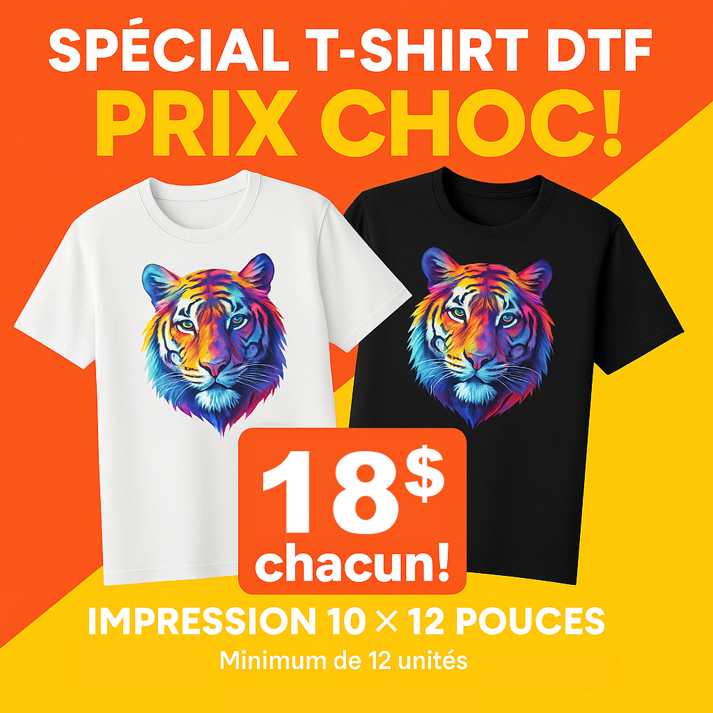 12 T-SHIRTS + DTF 10X12