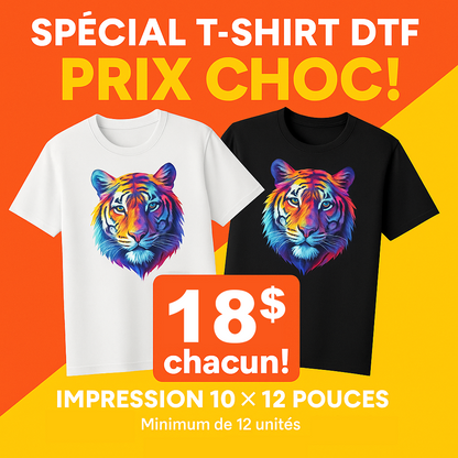 12 T-SHIRTS + DTF 10X12